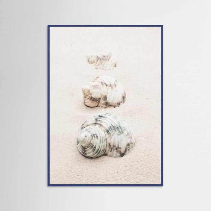 Poster Shells – poster e stampa artistica