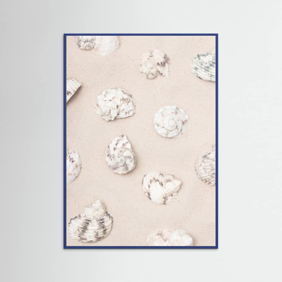 Shells_2 Poster – Poster und Kunstdruck