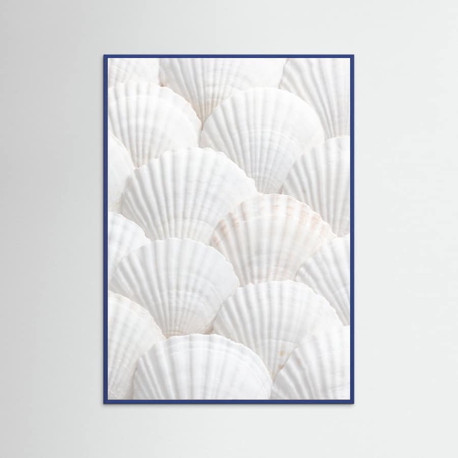 Shells_3 Poster – plakat og kunsttryk