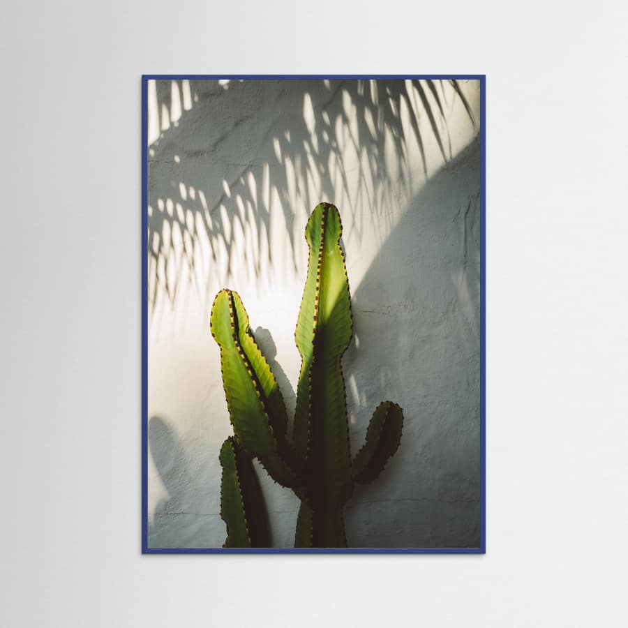 Blue Wood Socal Shadows Poster