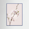 Blue Wood Soft Bloom