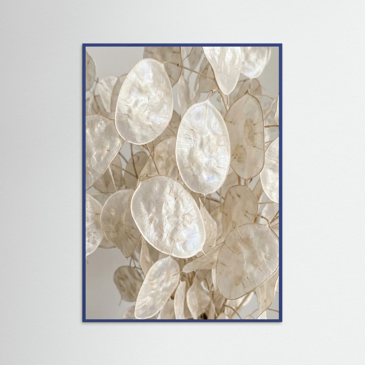 Blue Wood Soft Petal Dreams