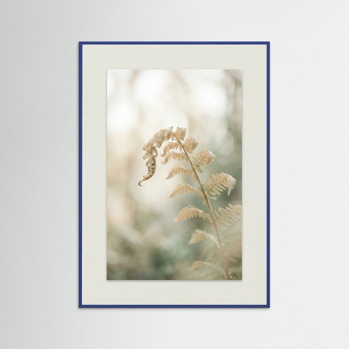 Blue Wood Soft Petals Whispers
