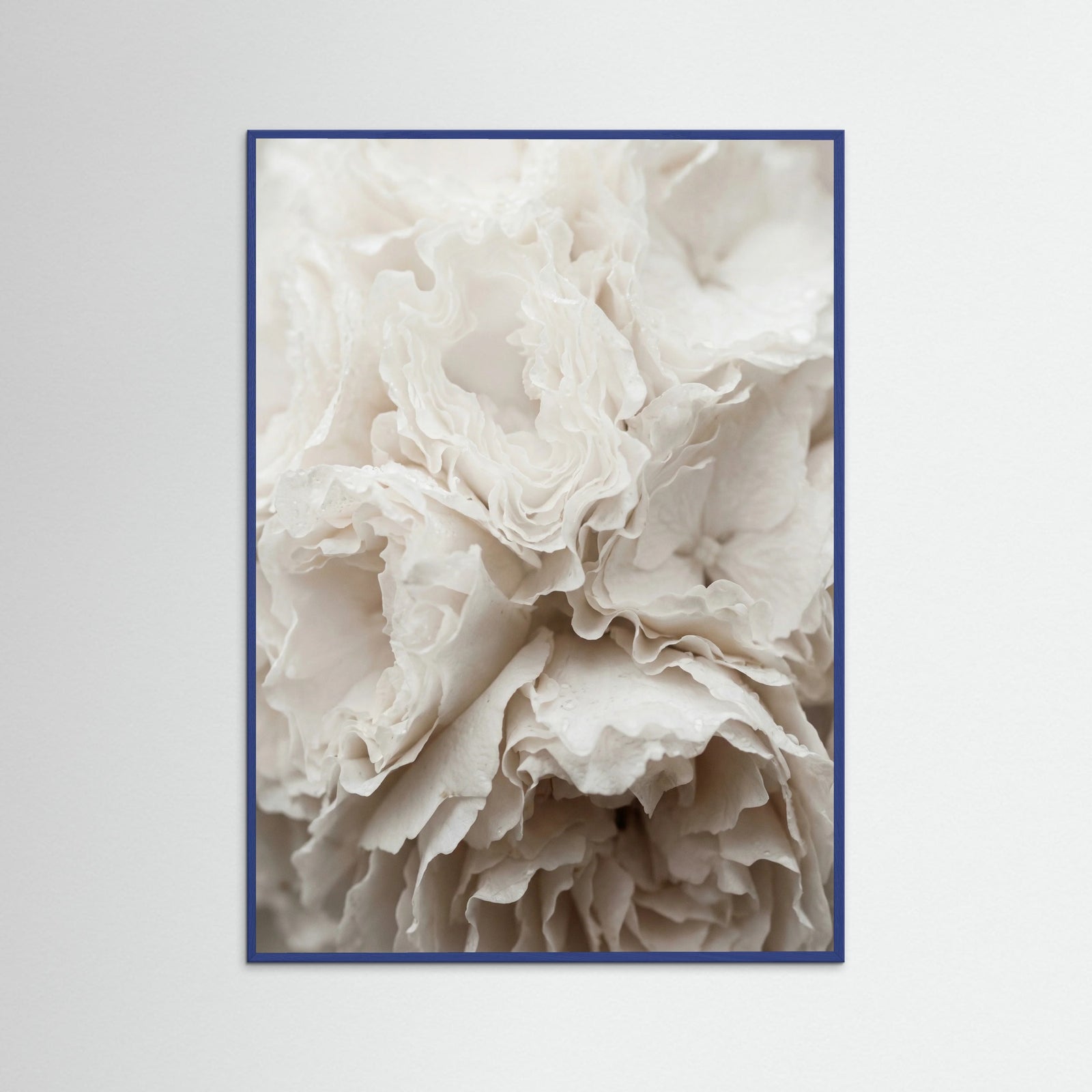 Blue Wood Soft Petals White