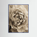 Blue Wood Soft Petals