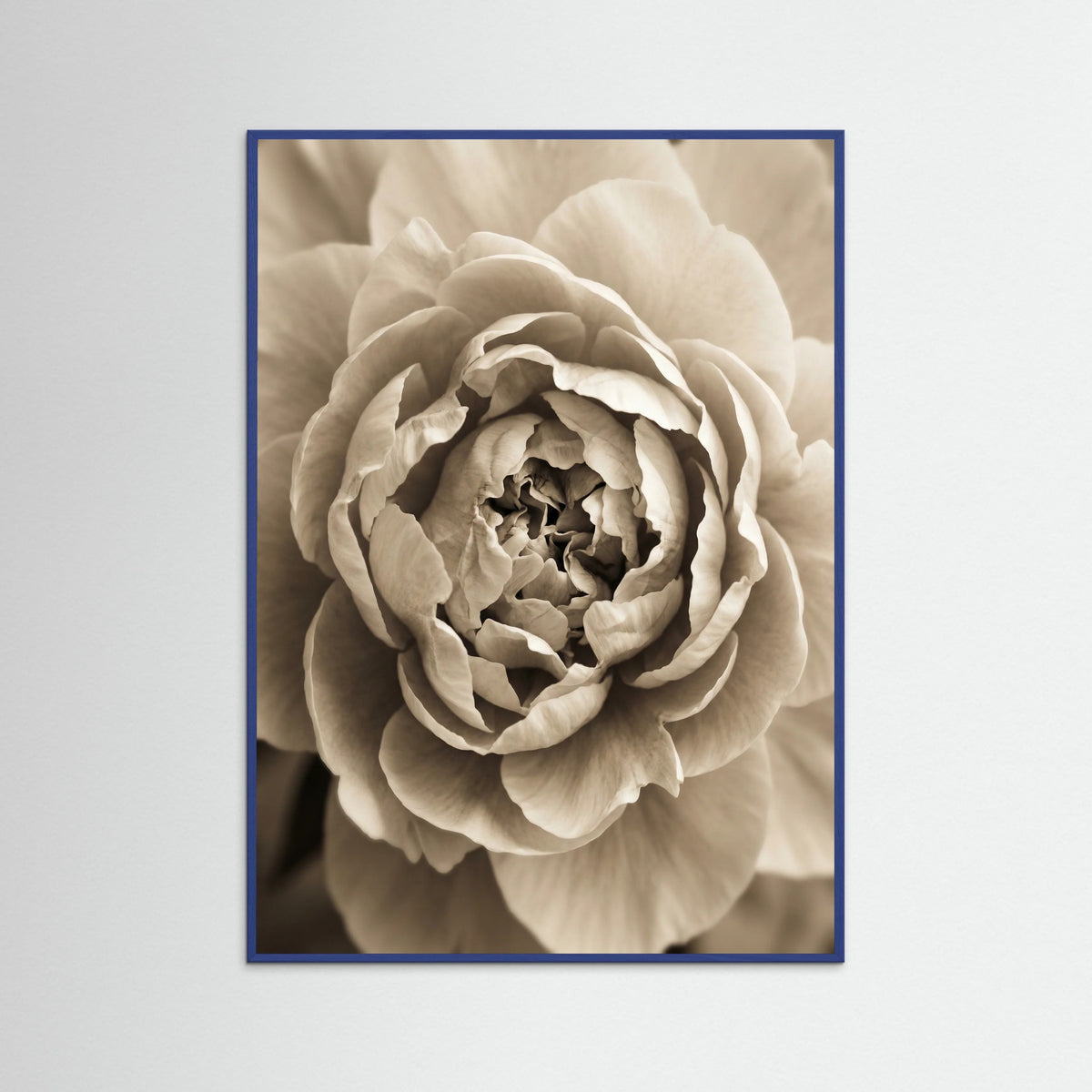 Blue Wood Soft Petals