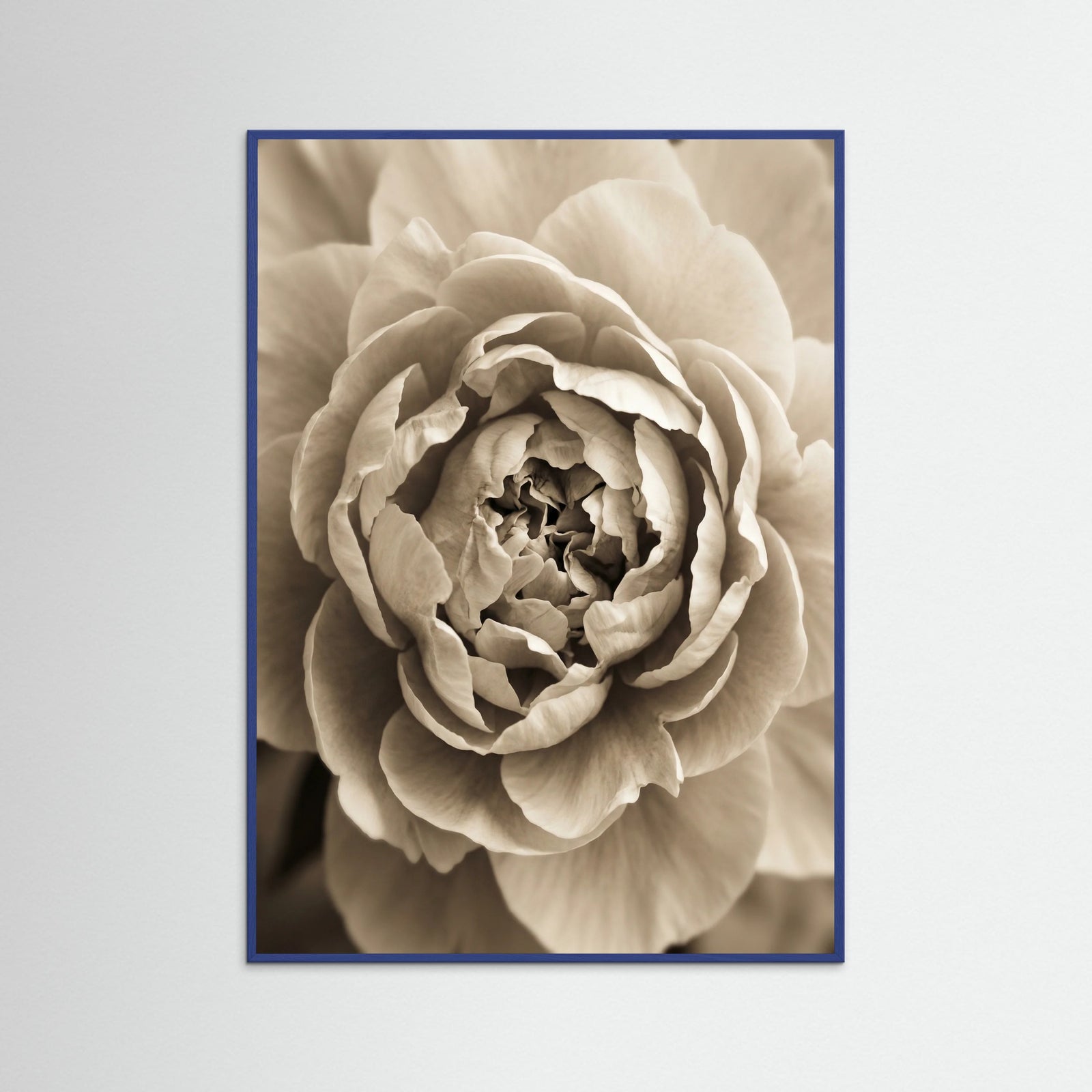 Blue Wood Soft Petals