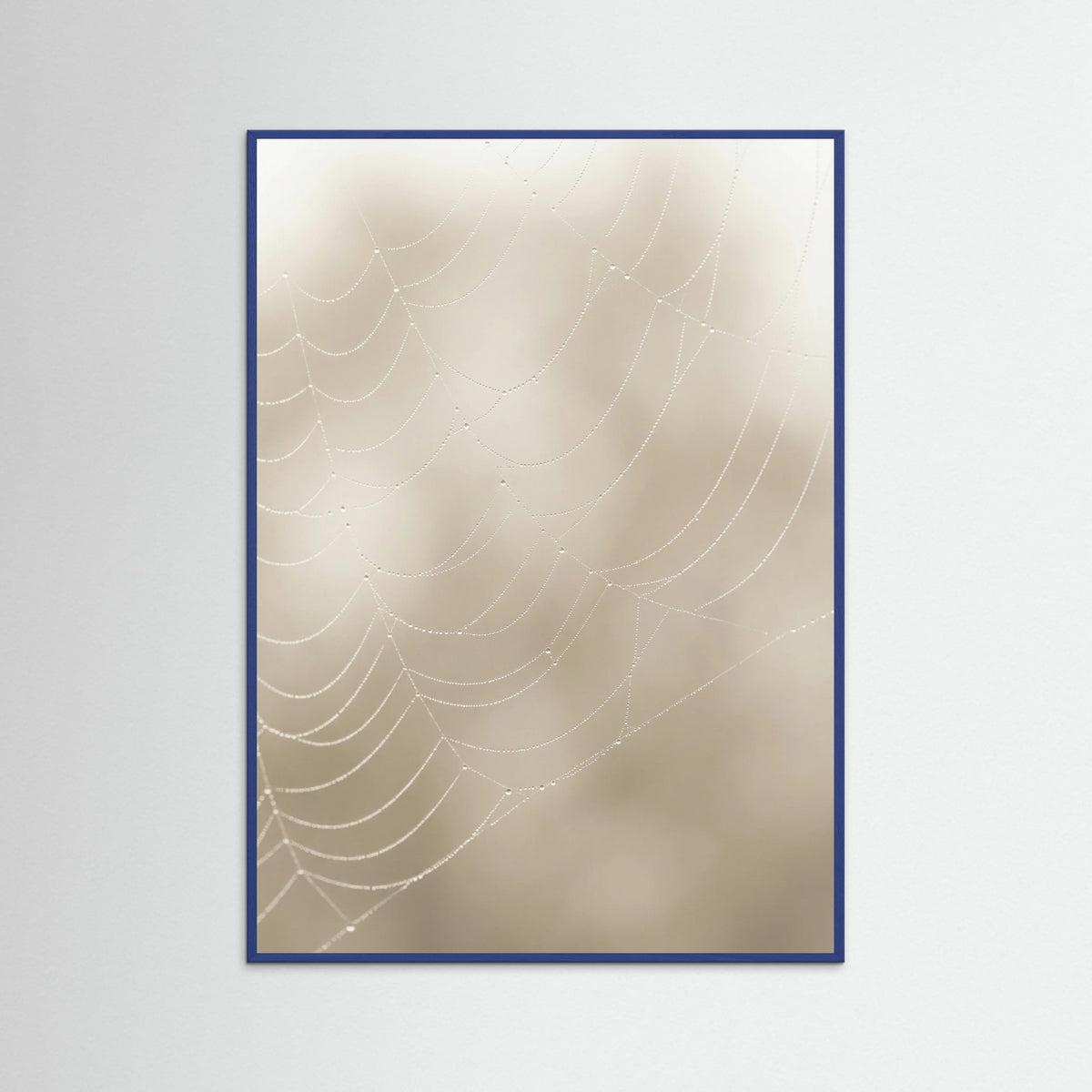 Blue Wood Soft Plume