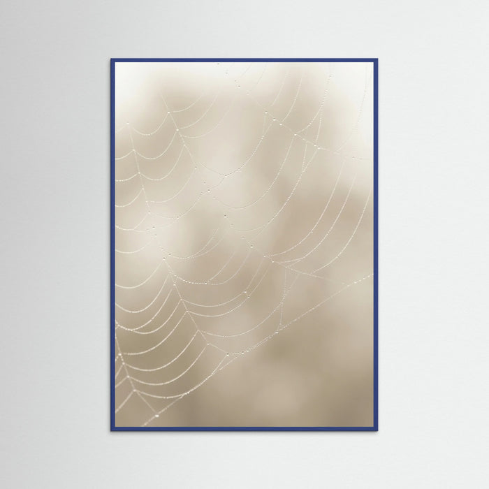 Blue Wood Soft Plume