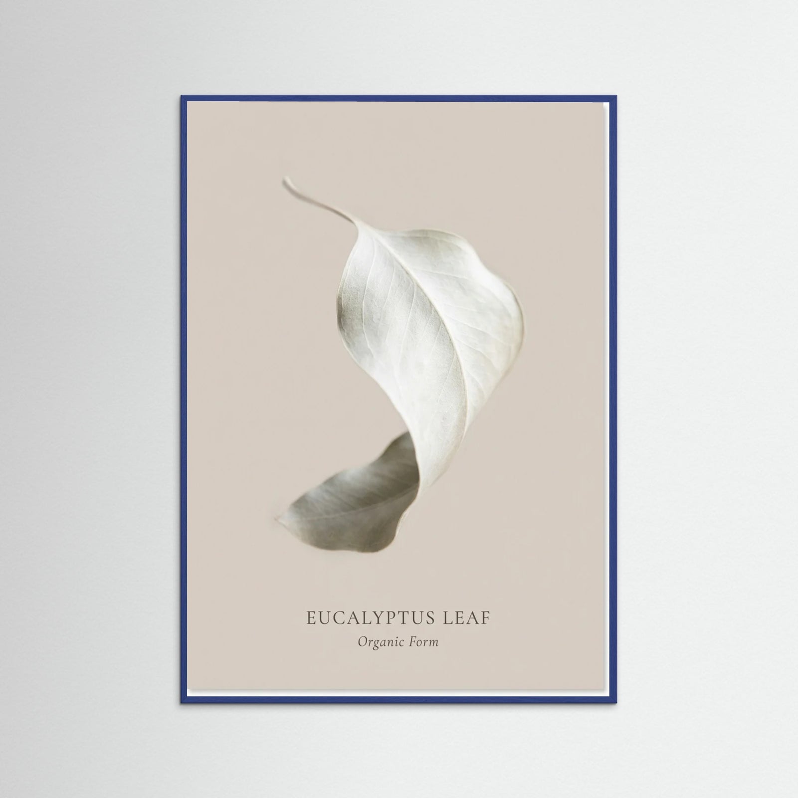 Blue Wood Soft Radiance