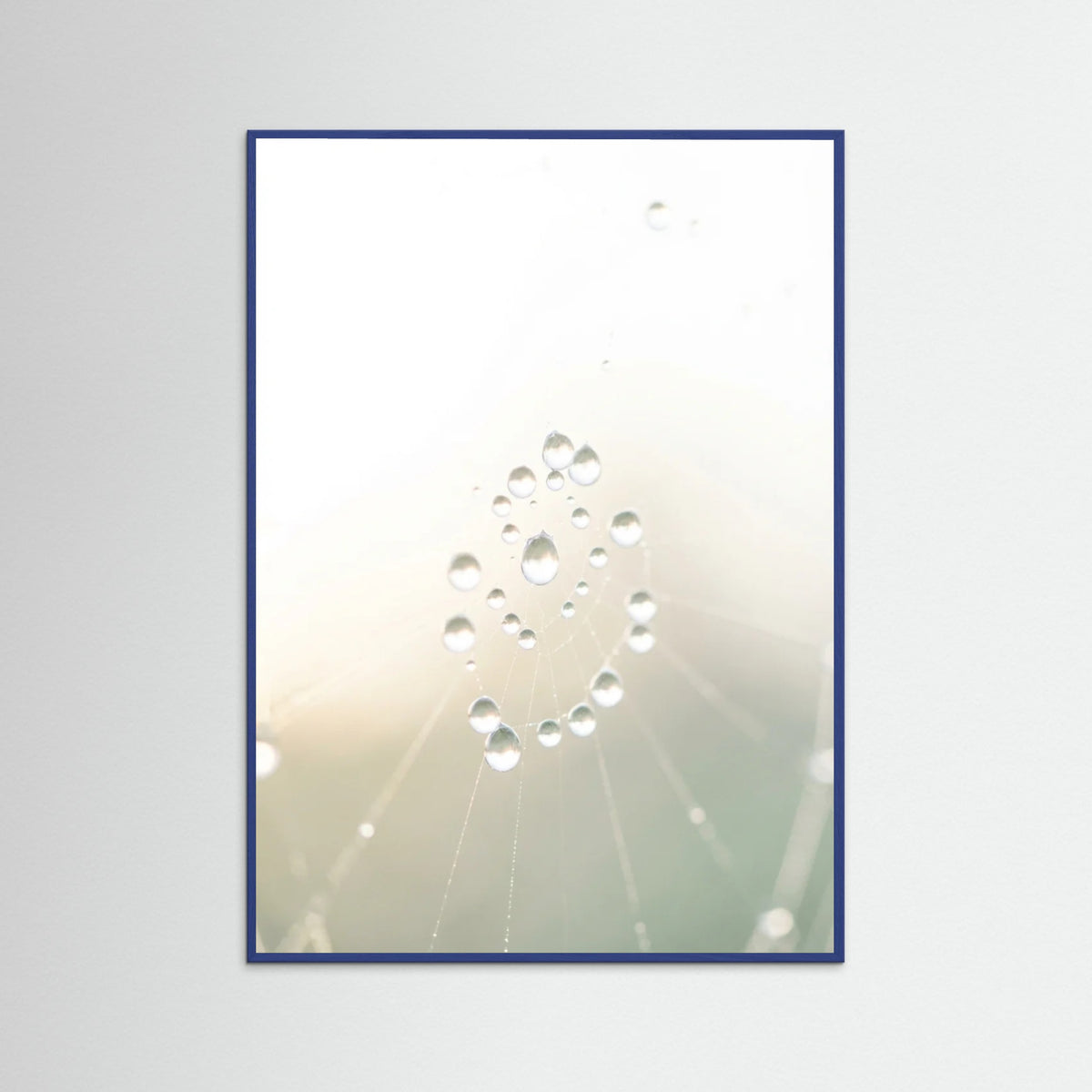 Blue Wood Soft Whisper