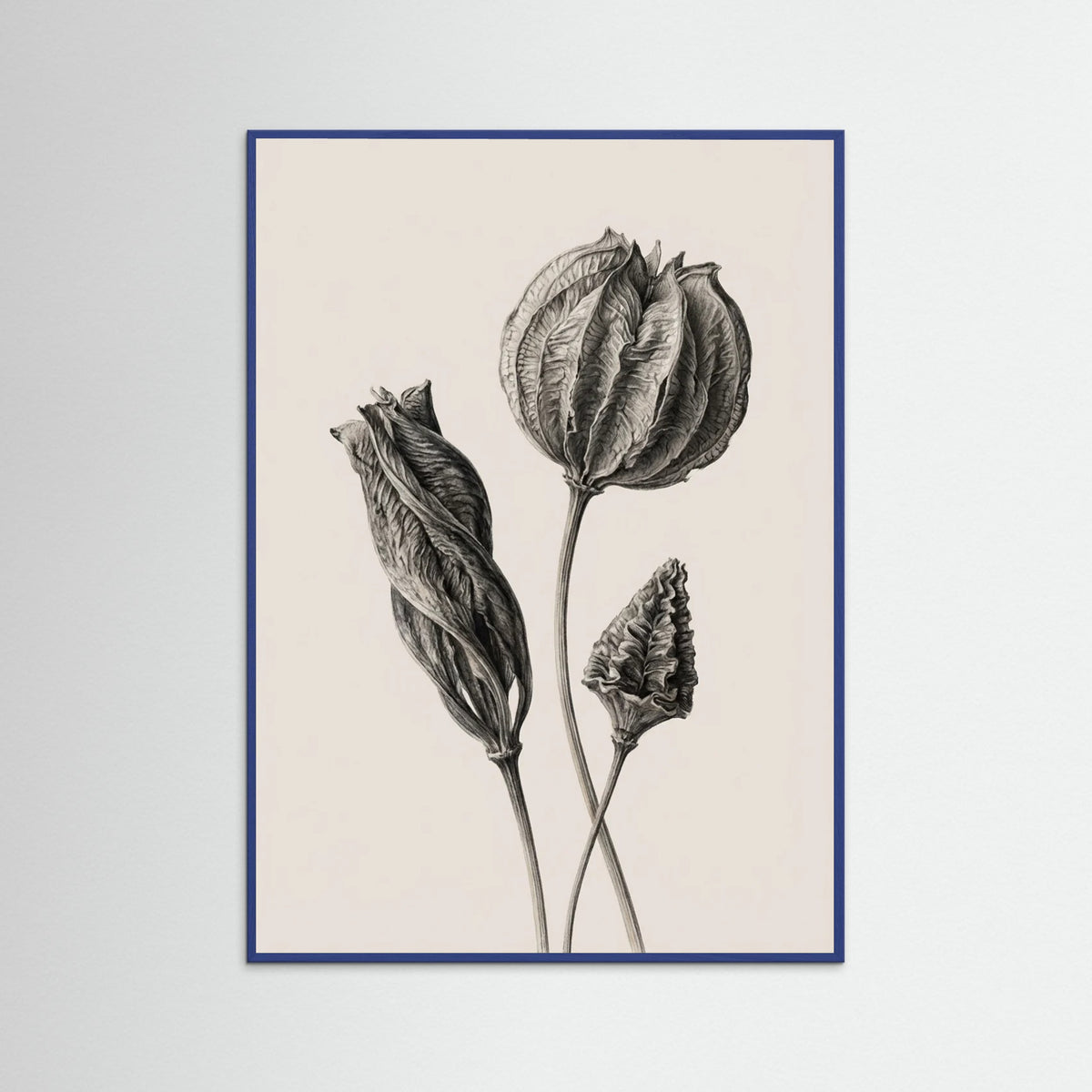 Blue Wood Solitary Bloom