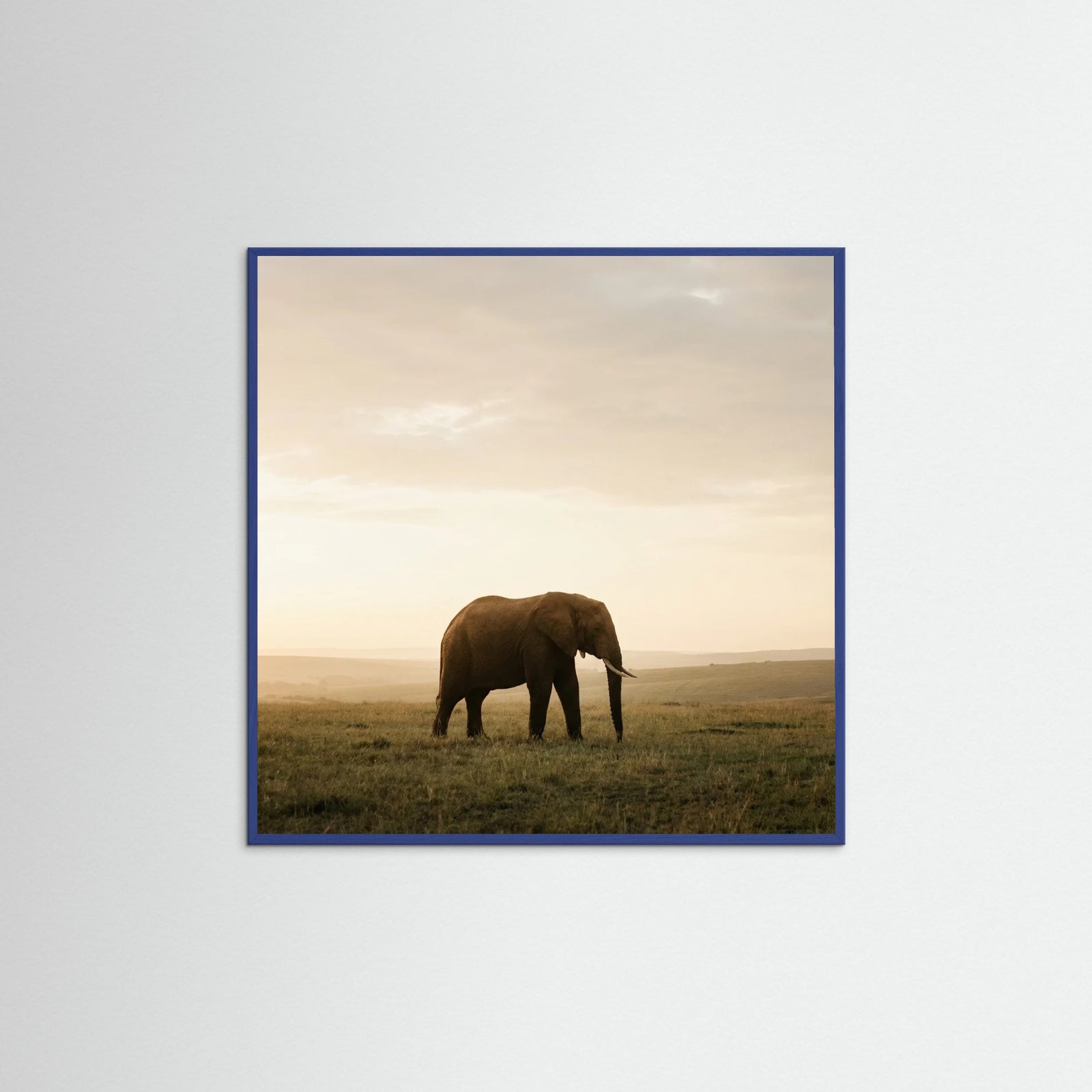 Blue Wood Square Golden Savannah Solitude