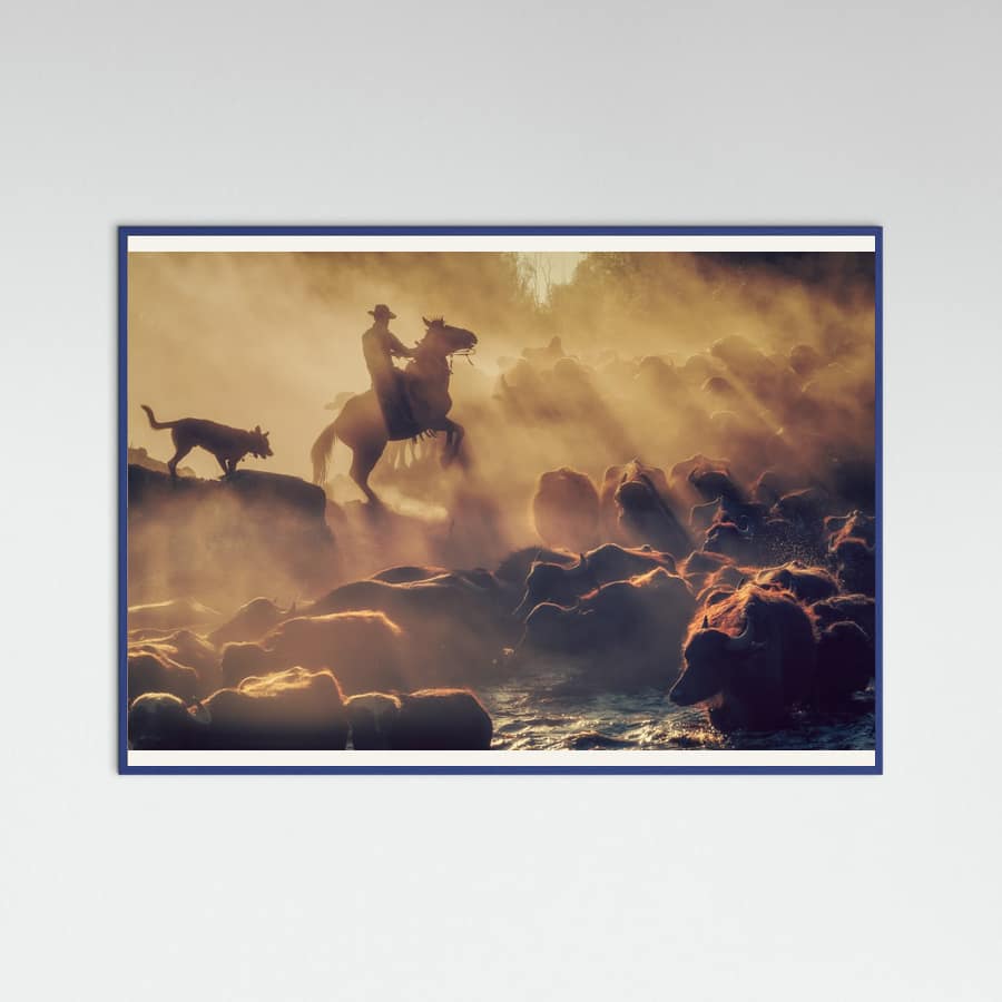 Blue Wood The buffalo shepherd Poster