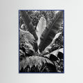 Blue Wood Tropical Canopy