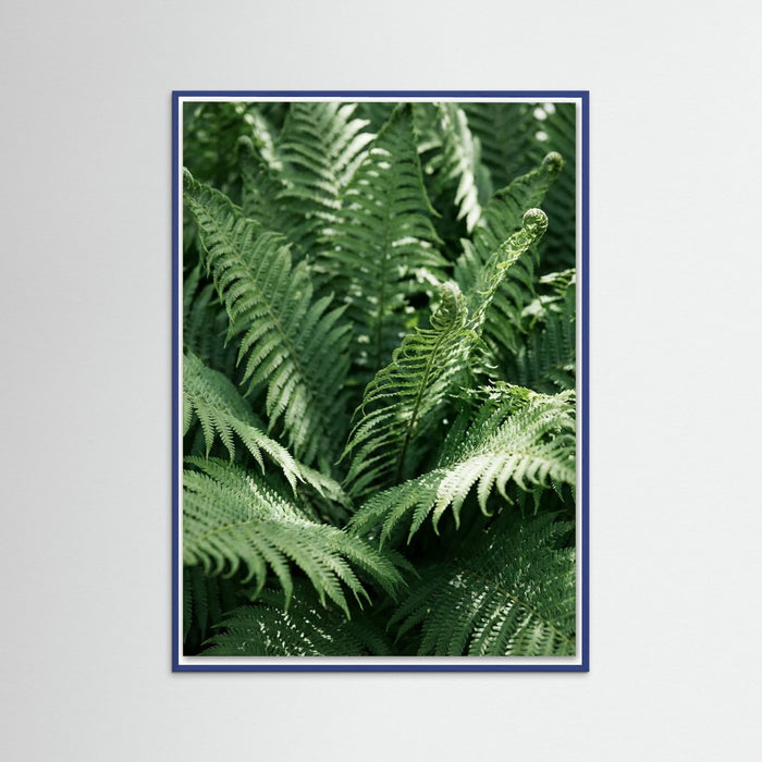 Blue Wood Tropical Serenity