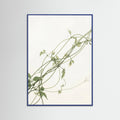 Blue Wood Verdant Calm