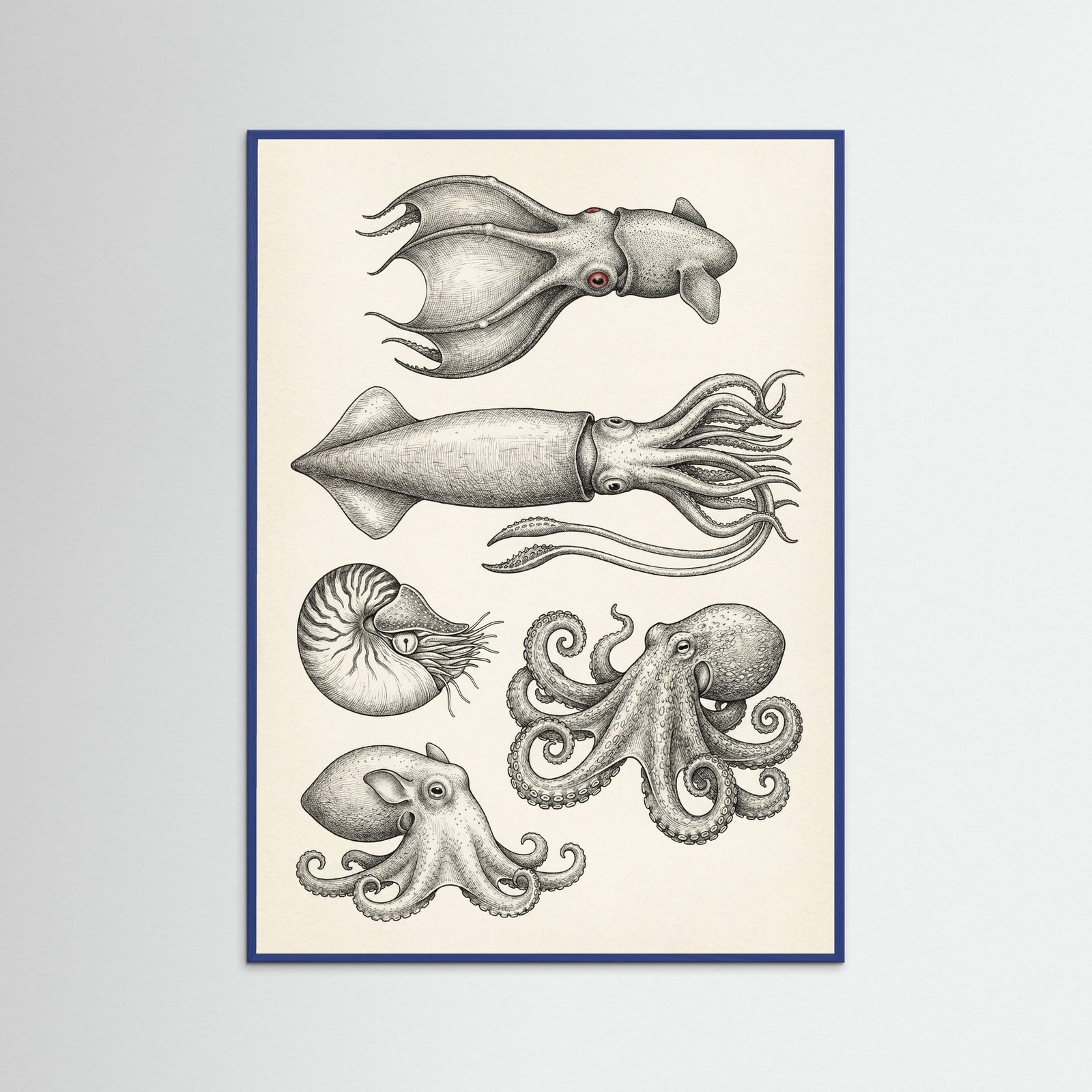 Blue Wood Vintage Shark Study