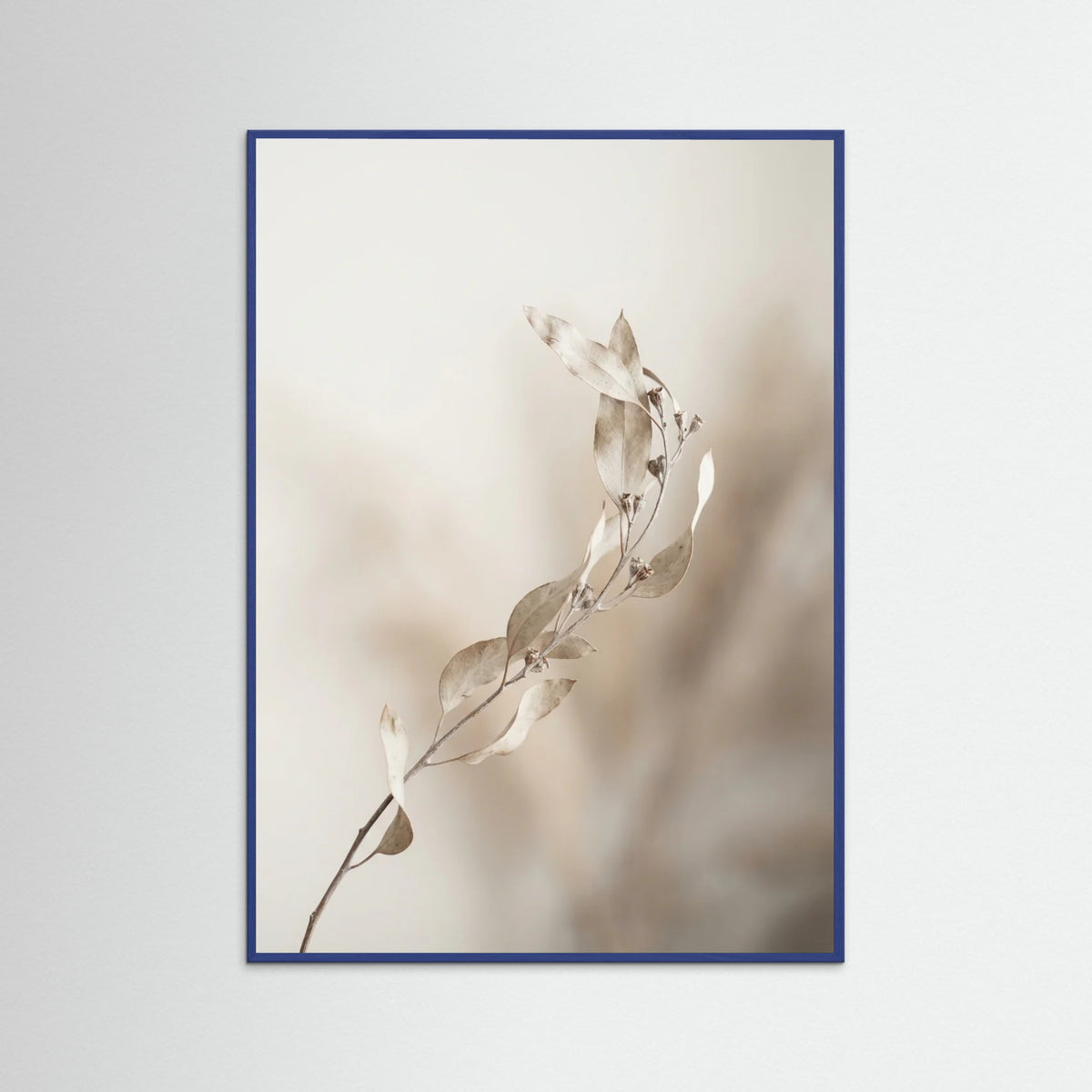 Blue Wood Whispering Pampas