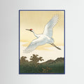Blue Wood White Peacock Elegance