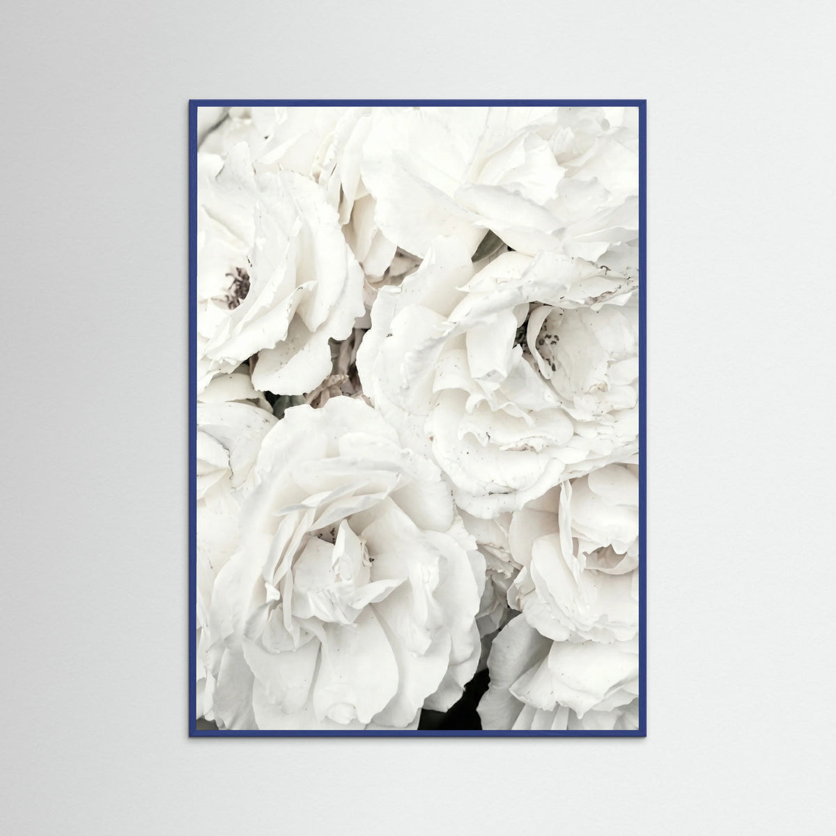Blue Wood White Petal Embrace