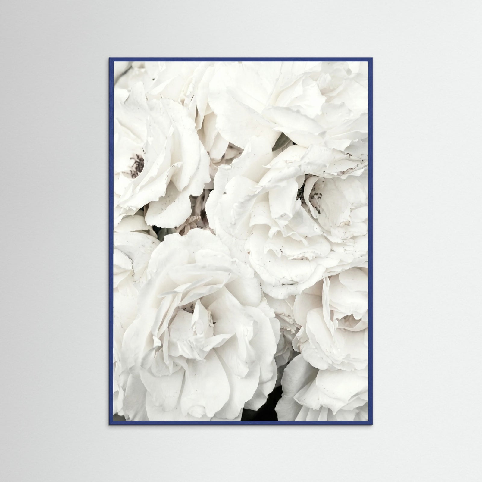 Blue Wood White Petal Embrace