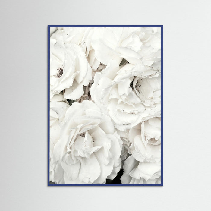 Blue Wood White Petal Embrace