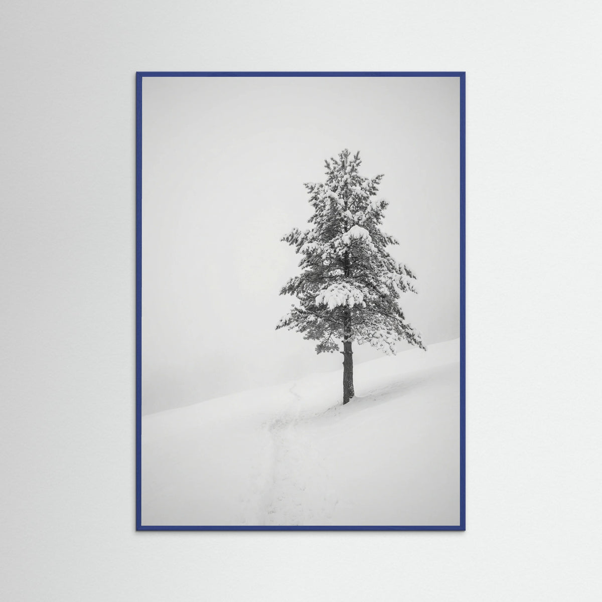 Blue Wood Winter Ascent