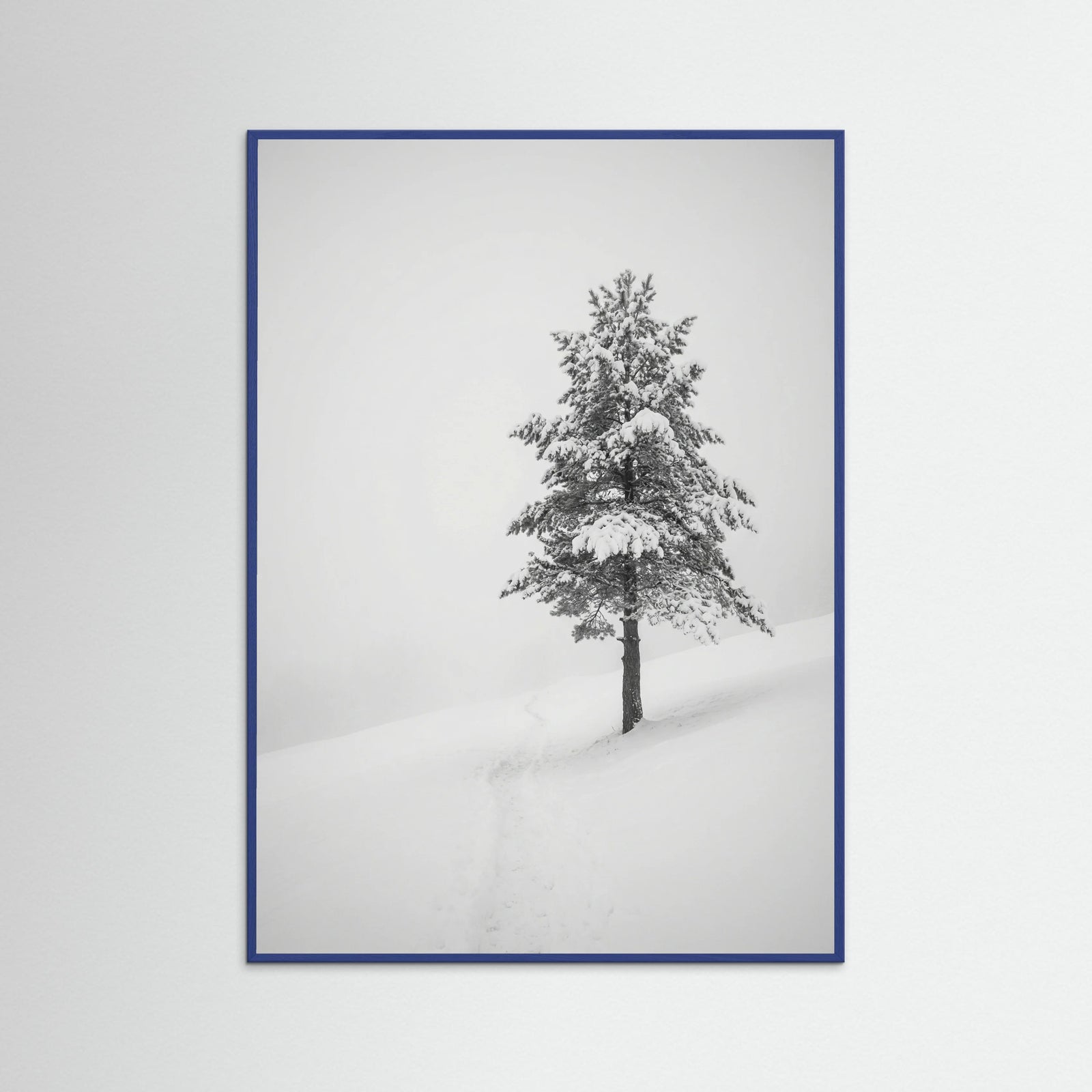 Blue Wood Winter Ascent