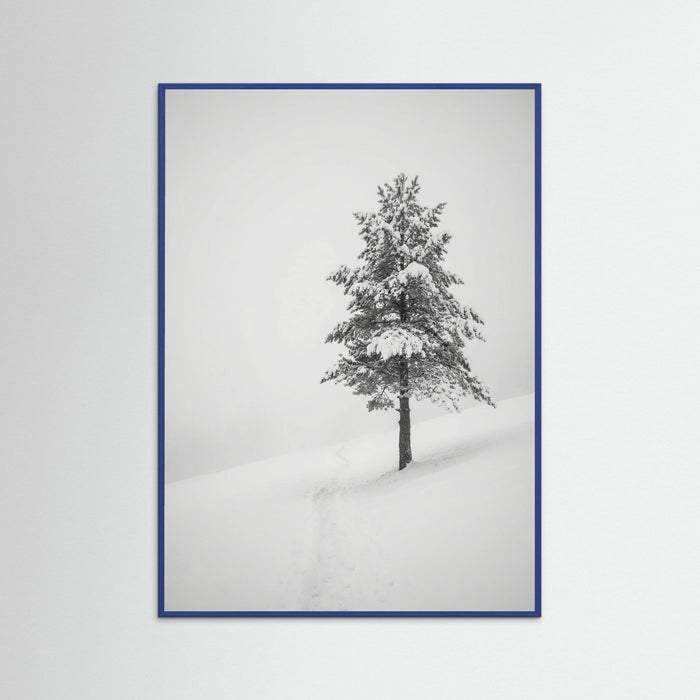 Blue Wood Winter Ascent