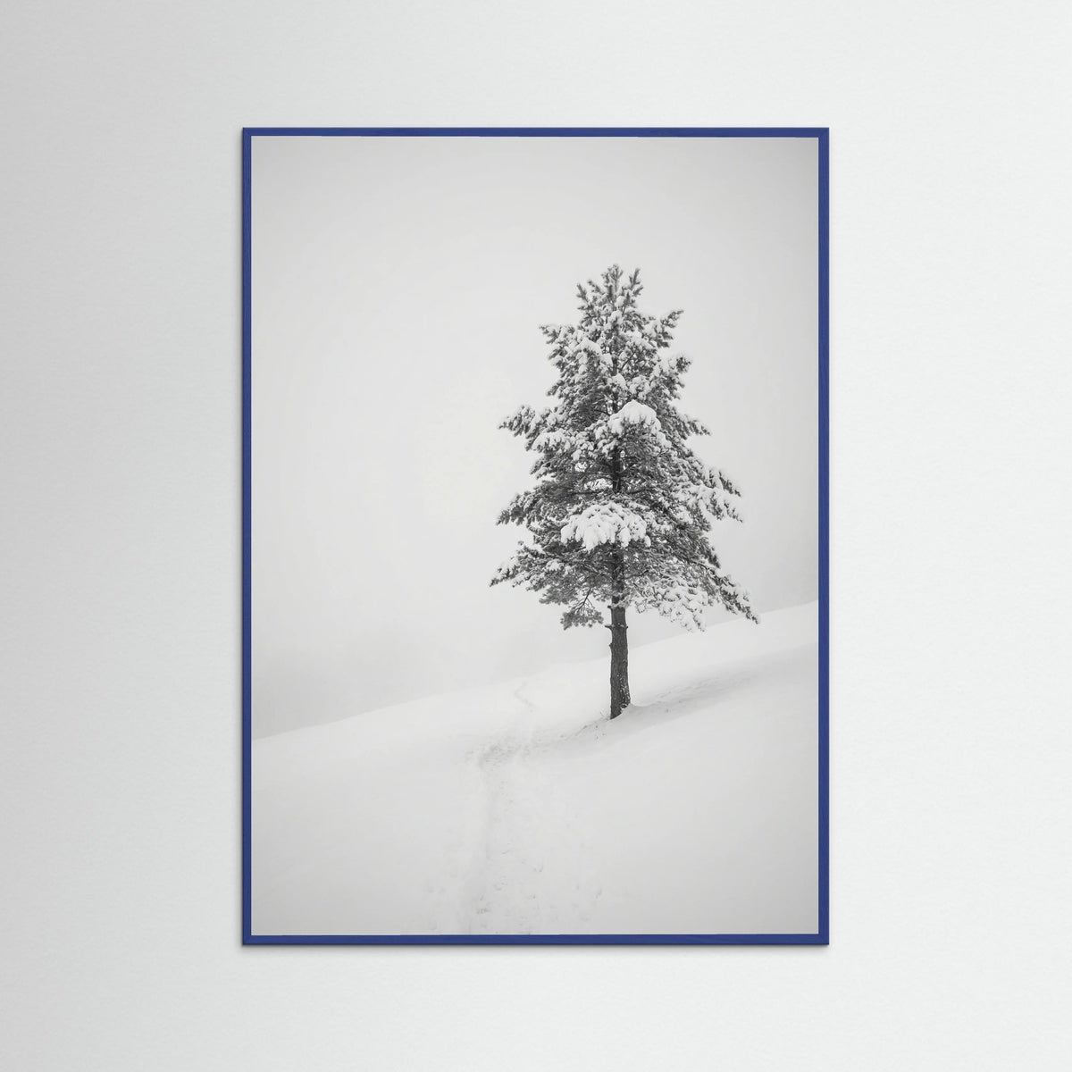 Blue Wood Winter Ascent