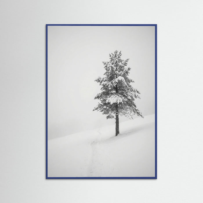 Blue Wood Winter Ascent