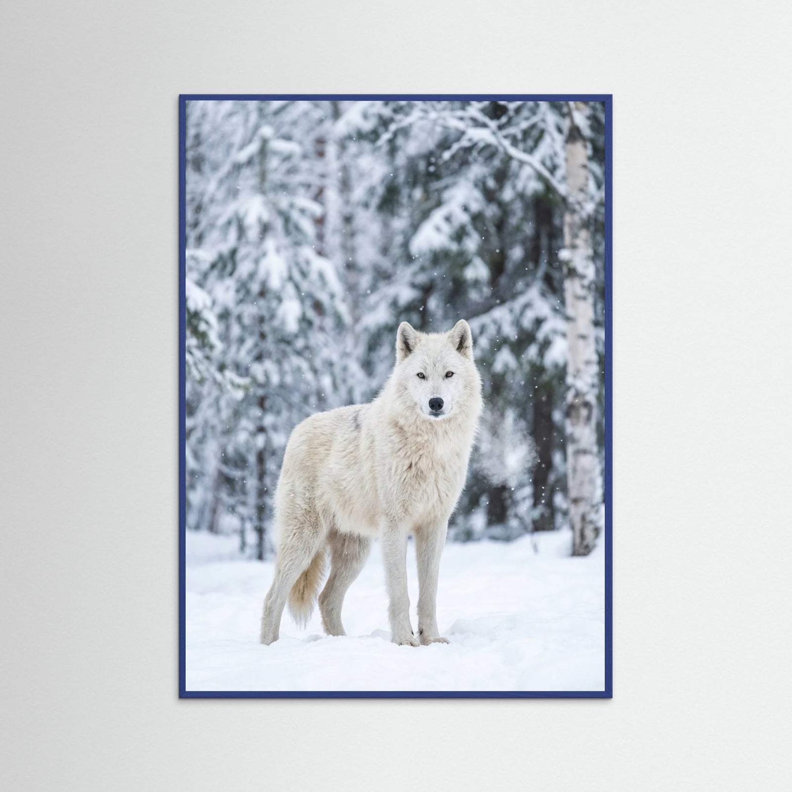 Blue Wood Winter Majesty