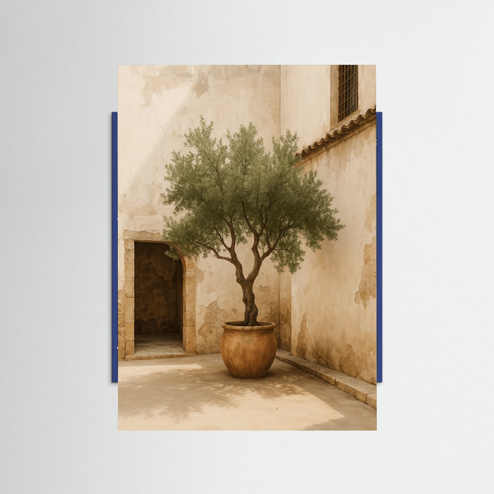 Blue Wood photo Potted Olive Tree