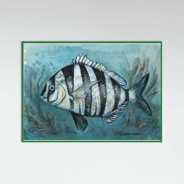 240 Zebra Master Poster – Poster und Kunstdruck