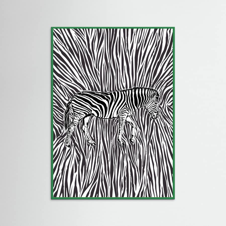 African Zebra striking camouflage -juliste – juliste ja taidepainatus
