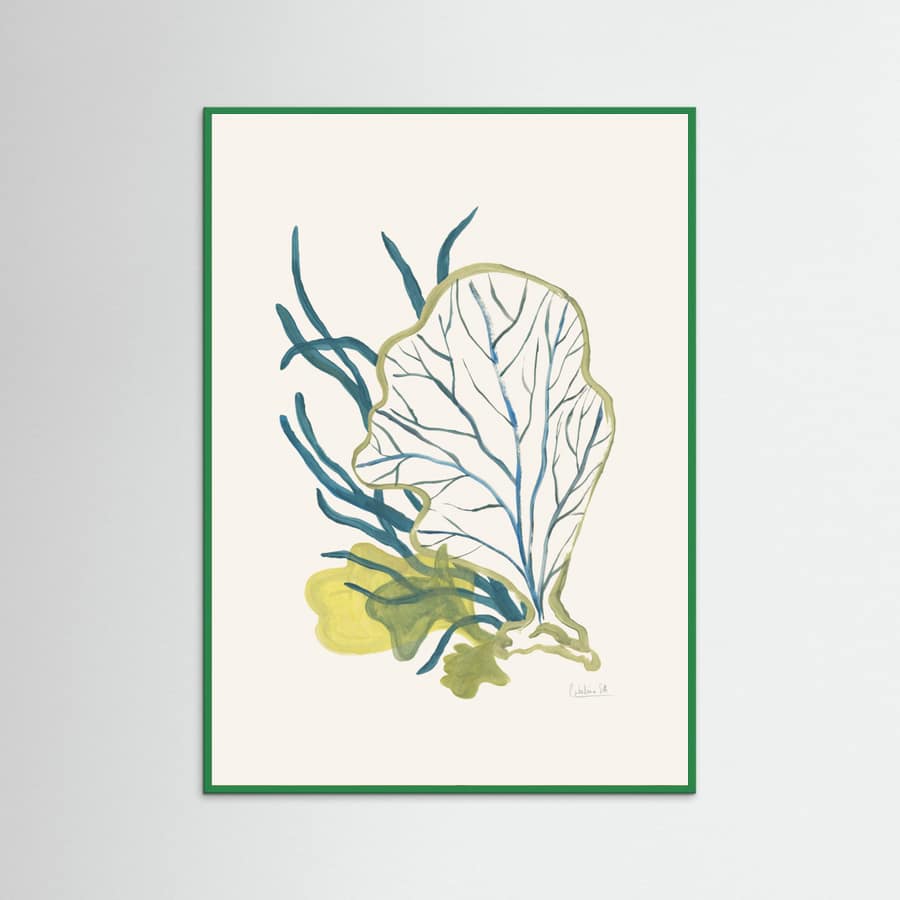 Algae No1 Poster – poster and art print