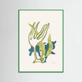 Poster Algae No2 – poster e stampa artistica