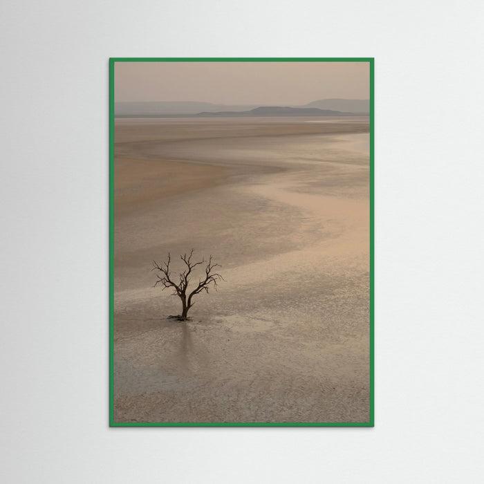 Green Wood Arid Horizon