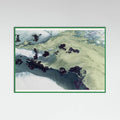 Best Sellers - Untouched Estuaries Poster – Poster und Kunstdruck