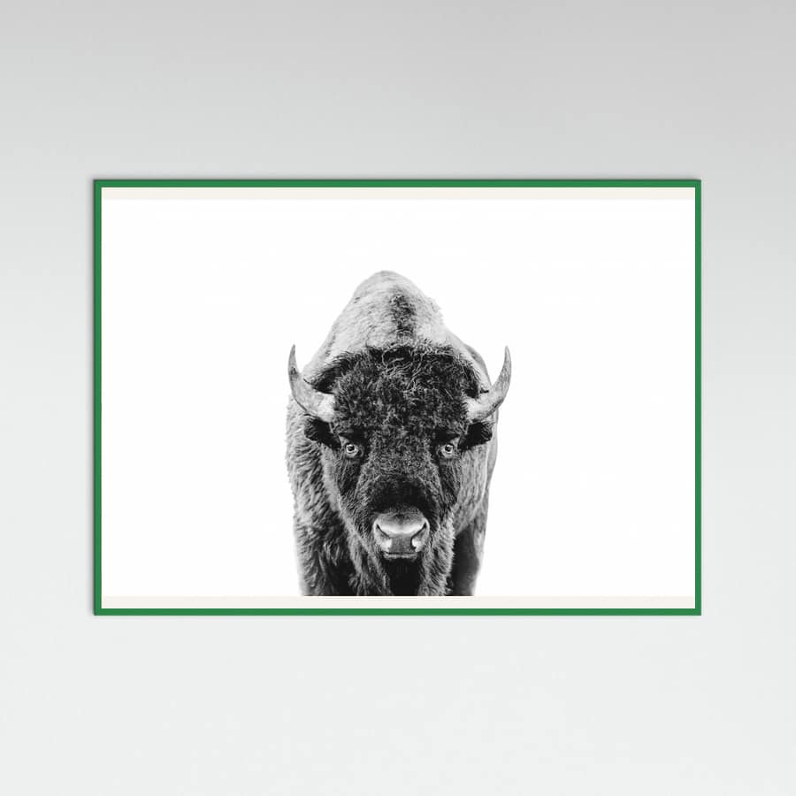 Póster Bison Bw – póster e impresión artística
