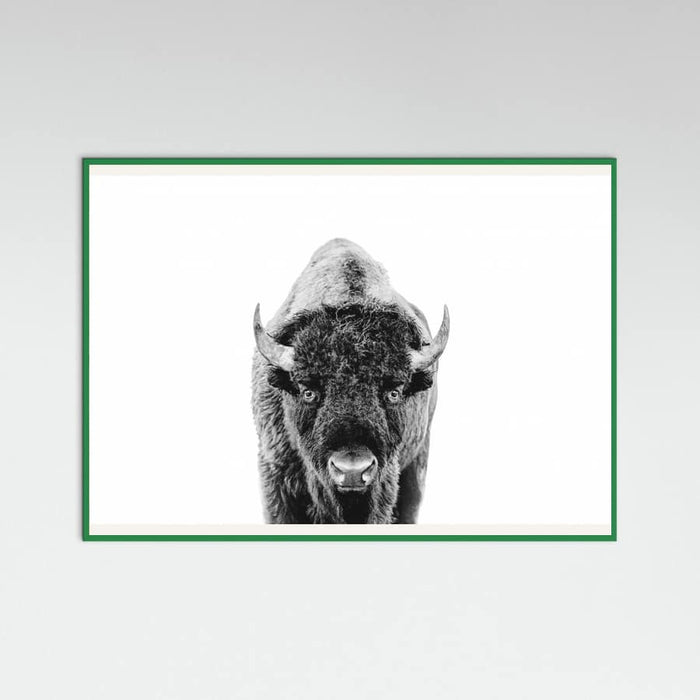 Póster Bison Bw – póster e impresión artística