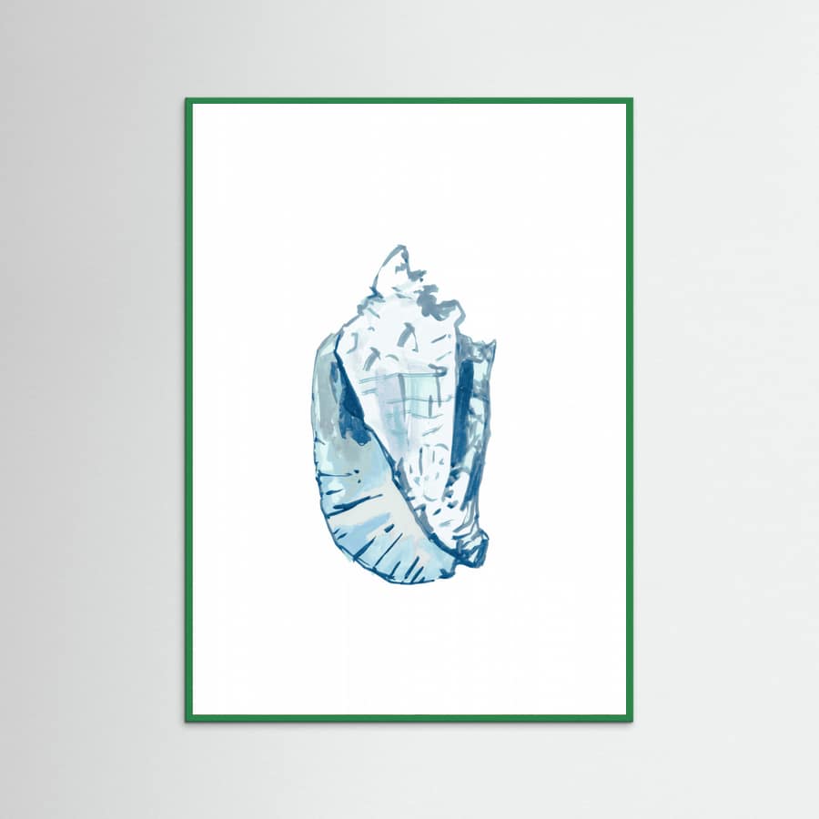 Blue Seashell On White Background No6 Poster – plakat og kunsttryk