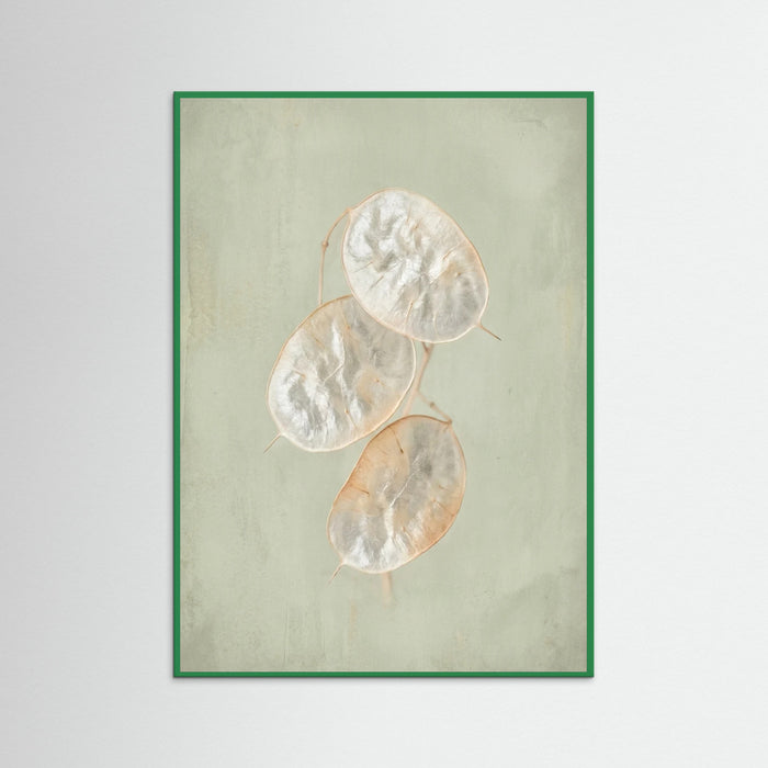 Green Wood Blush Bloom