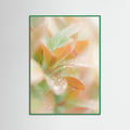 Green Wood Blushing Bloom