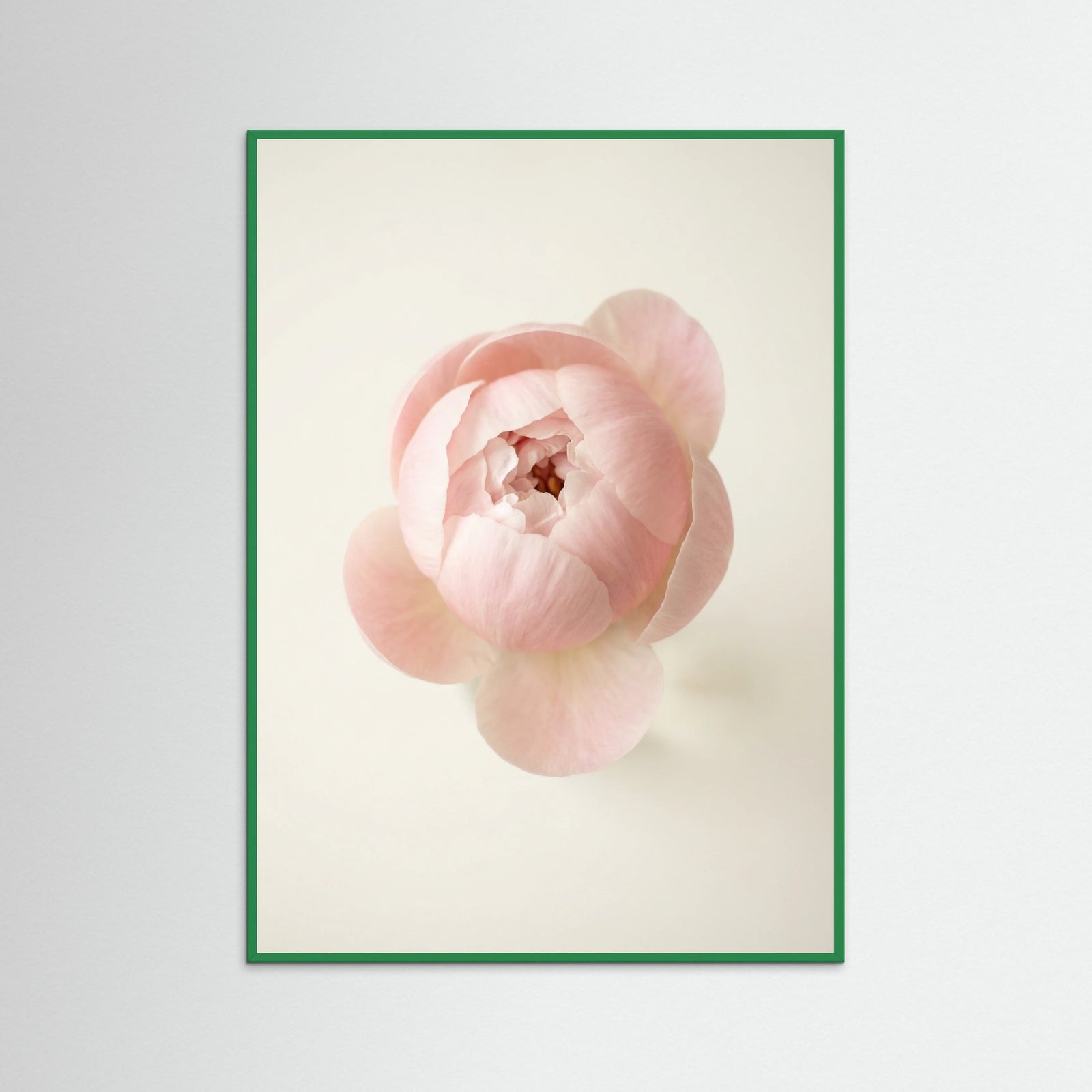 Green Wood Blushing Blooms