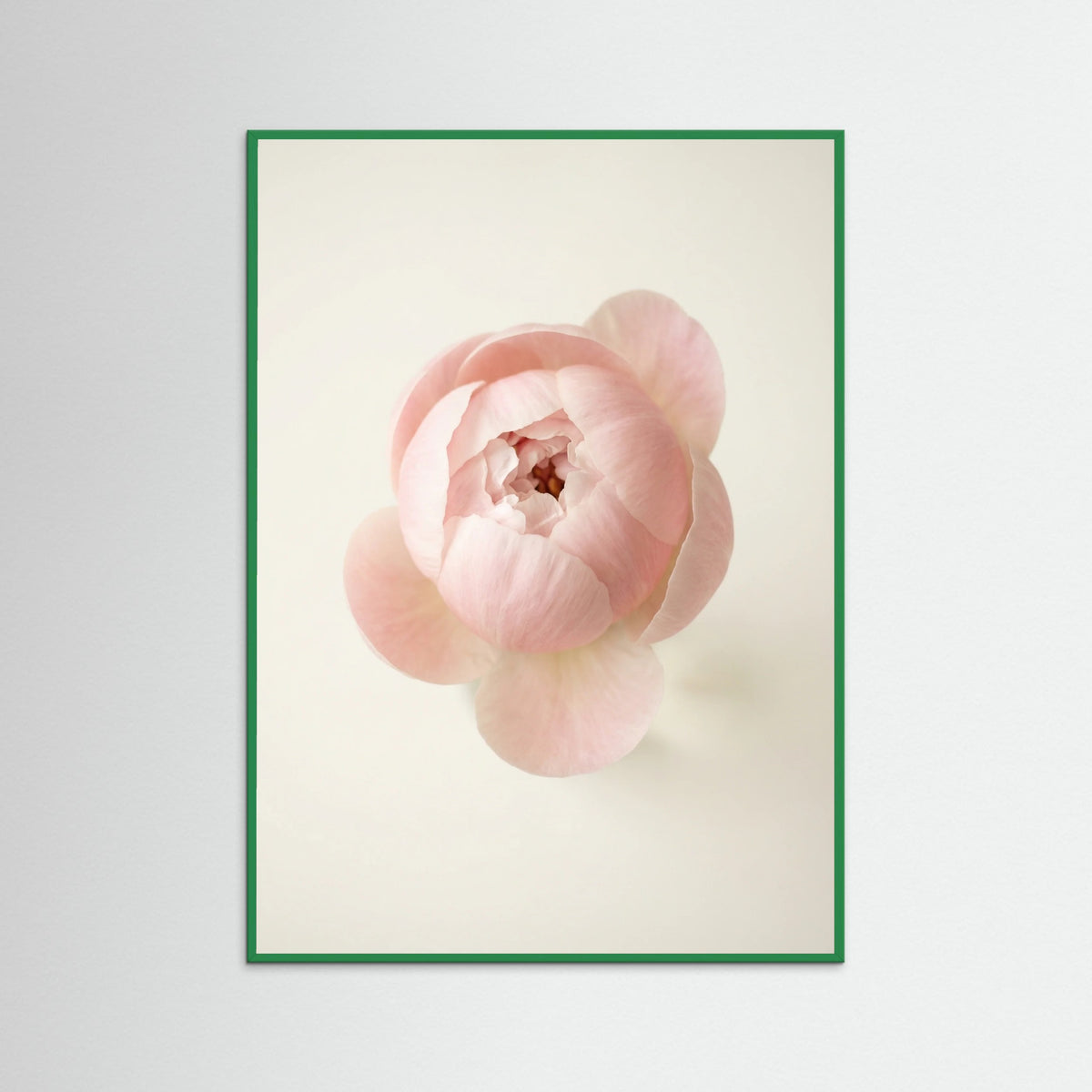 Green Wood Blushing Blooms