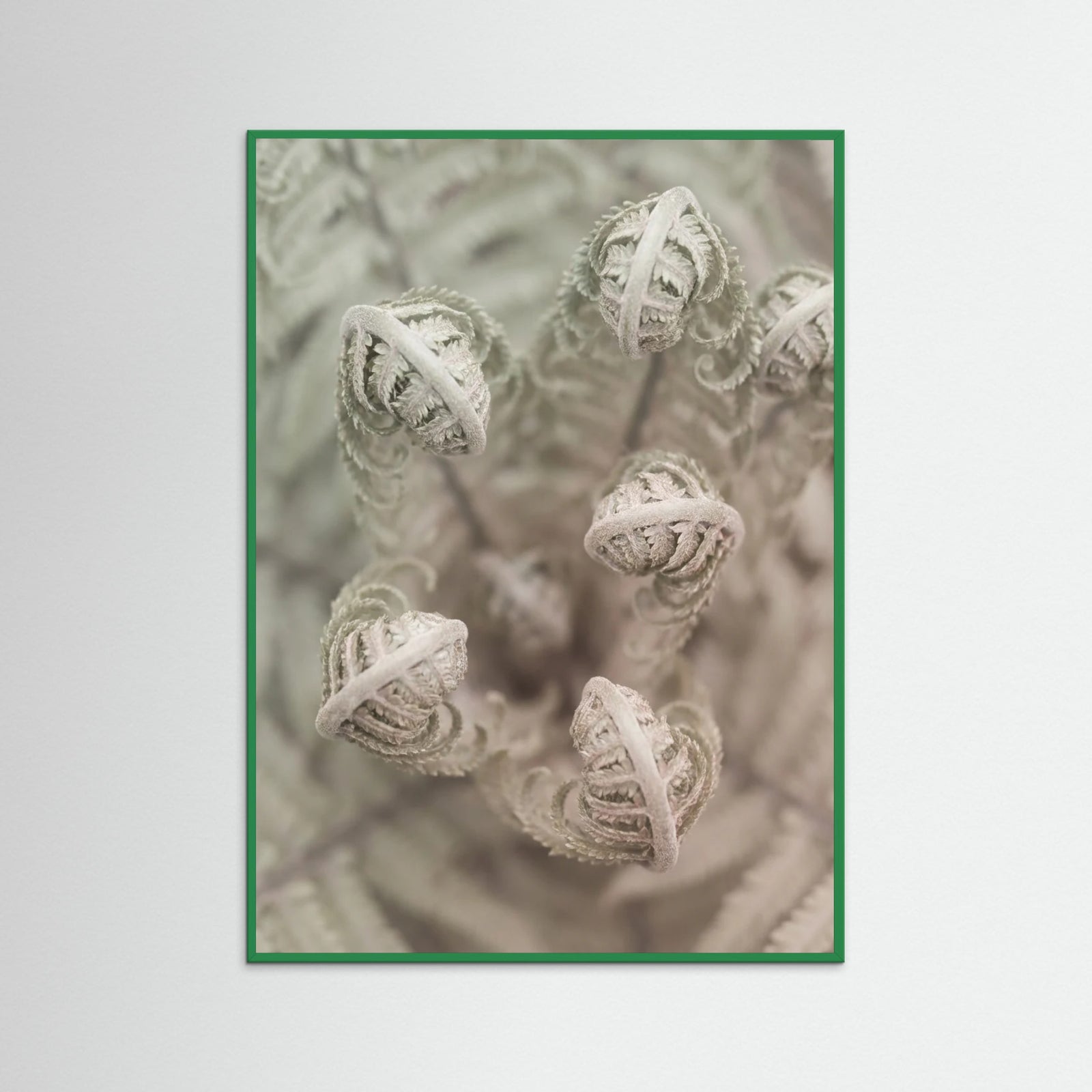 Green Wood Blushing Petals