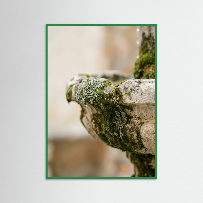 Green Wood Botanical Embrace