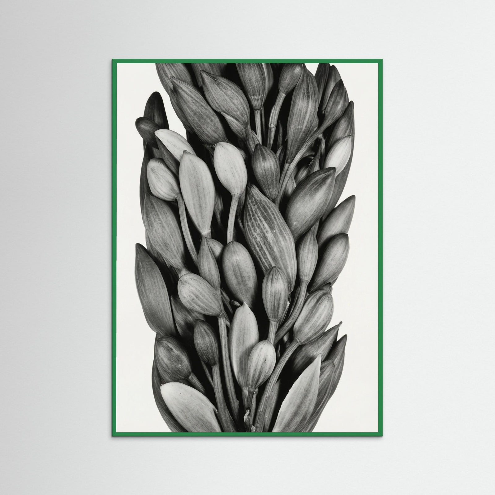 Green Wood Budding Forms